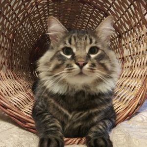 Meet your Posher, April